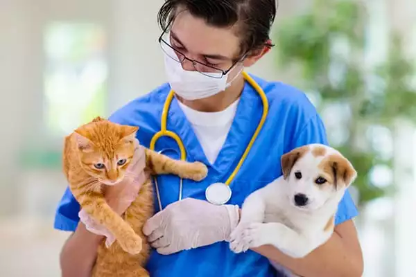 Spaying and Neutering Your Pet